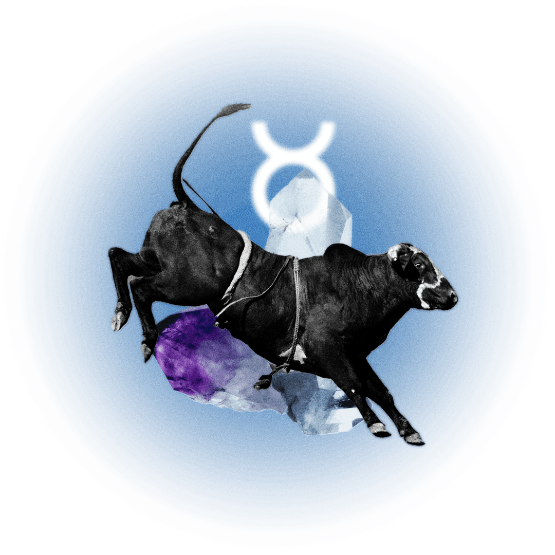 Image may contain Animal Bull Mammal Cattle Cow and Livestock