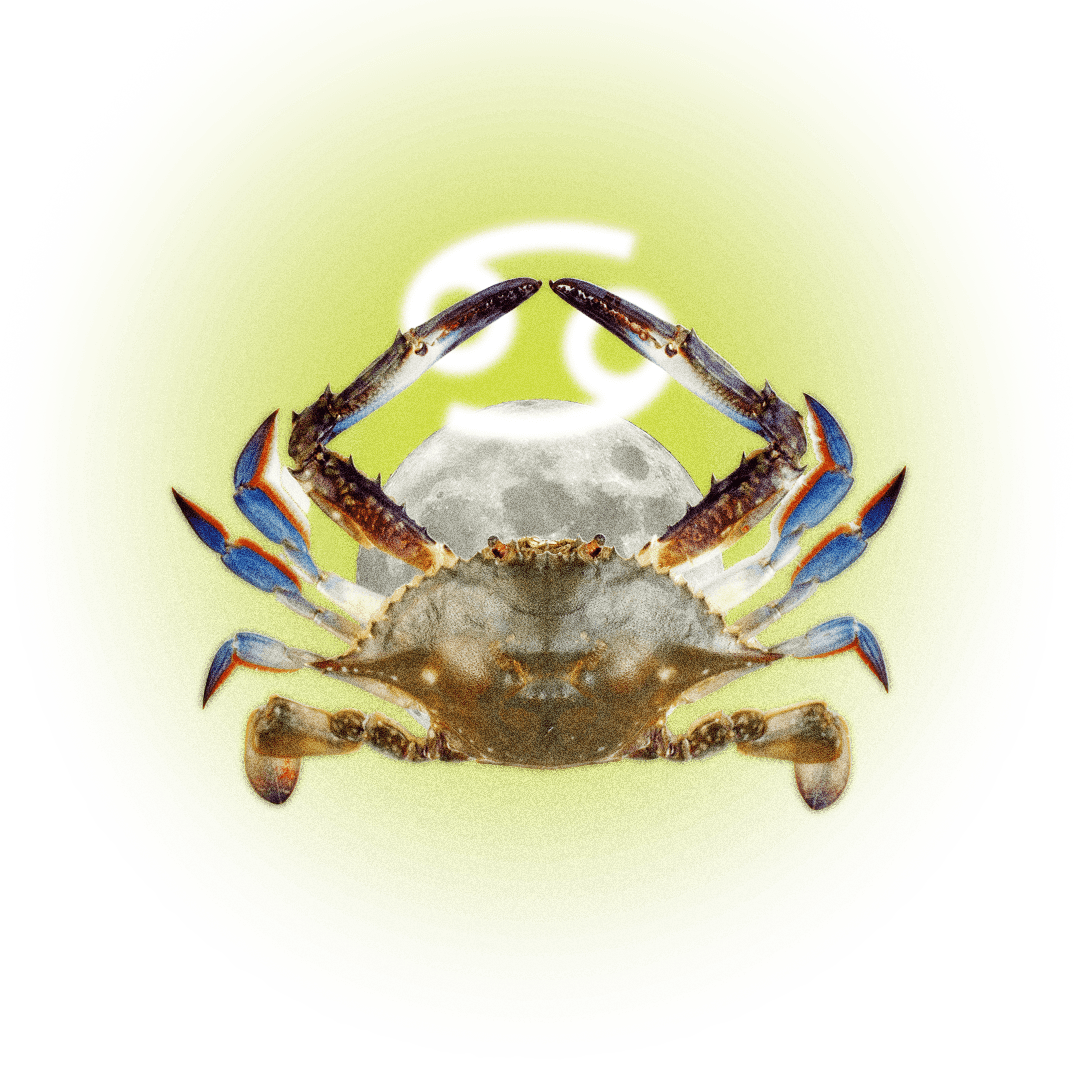 Image may contain Food Seafood Animal Crab Invertebrate Sea Life and Plate