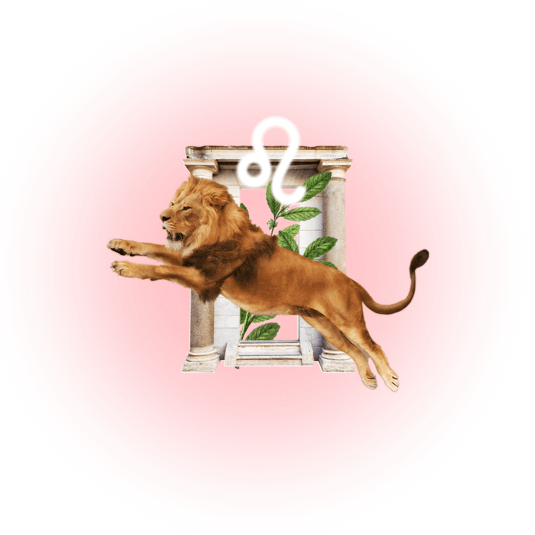 Image may contain Animal Lion Mammal and Wildlife