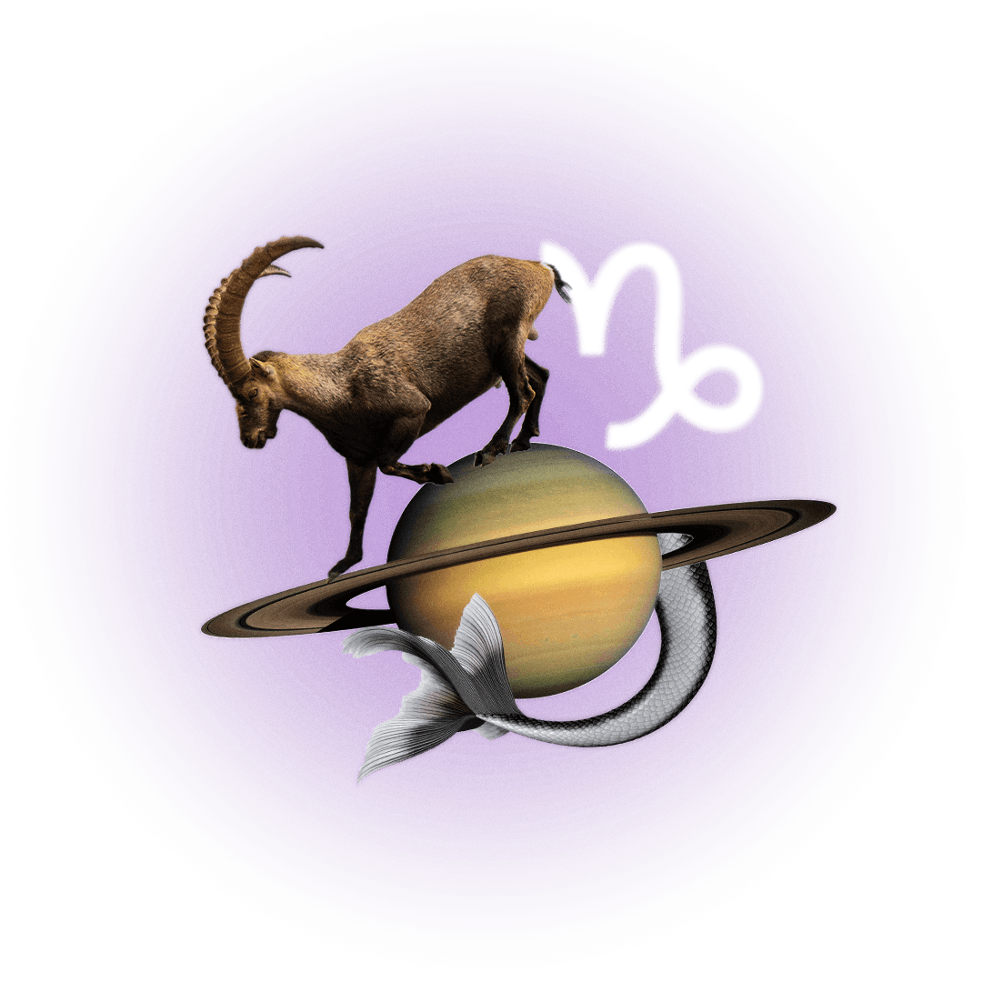 Image may contain Animal Antelope Mammal and Wildlife